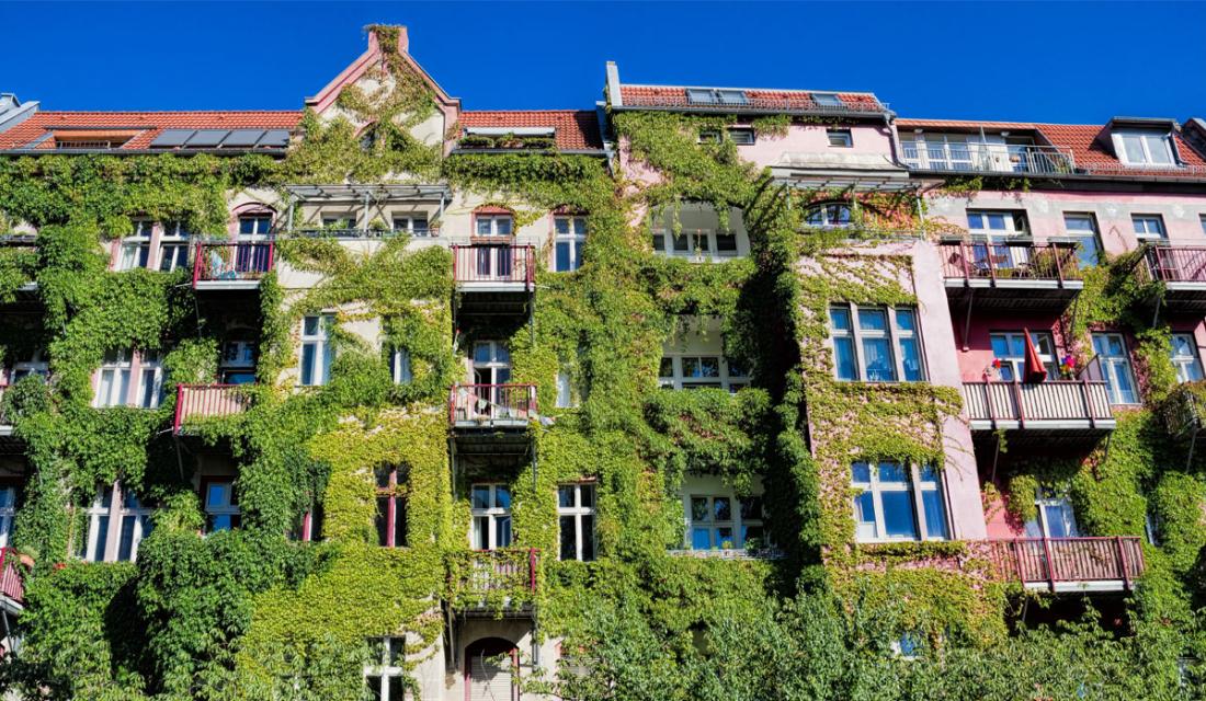 Haus mit einer begrünten Fassade
